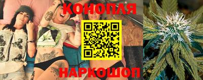 сатива Севастополь