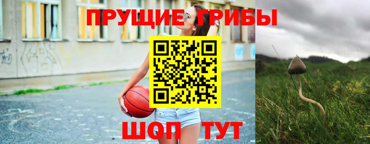 Галлюциногенные грибы мухоморы  Вход с VPN  Заинск 